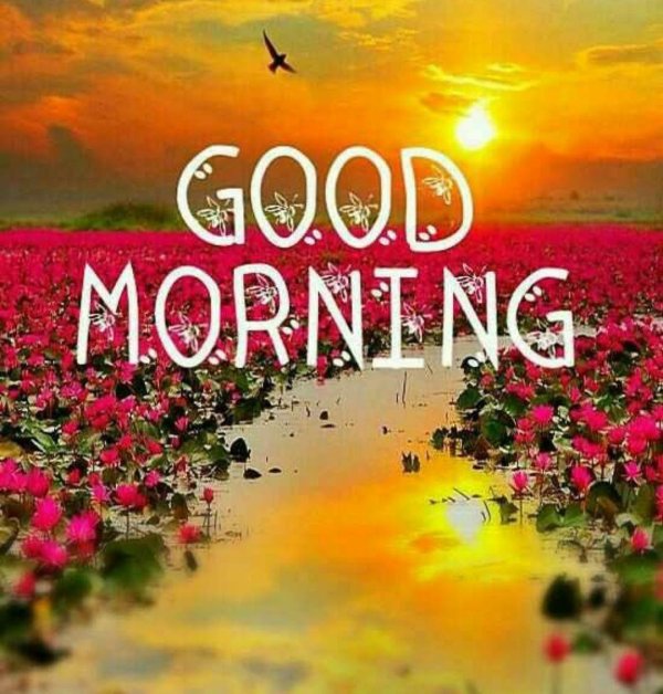гуд монинг