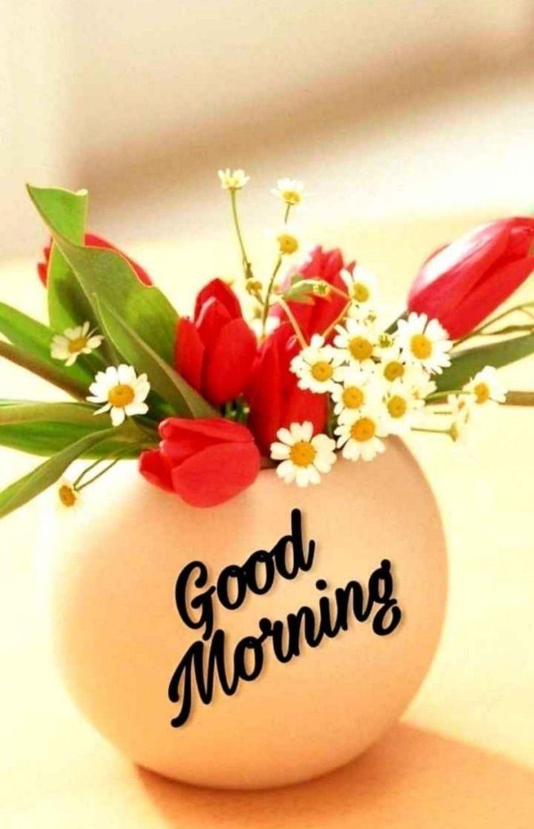 тюльпан в вазе