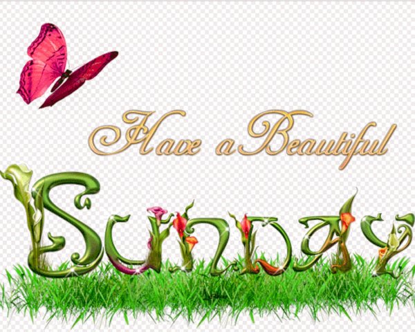 счастливое воскресенье