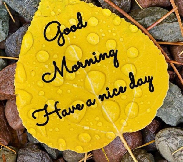 хорошего дня на английском