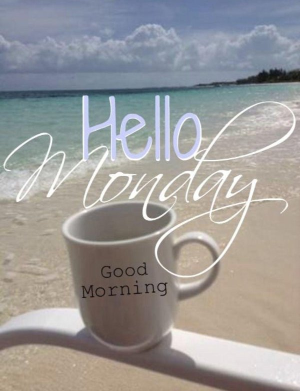 happy monday morning