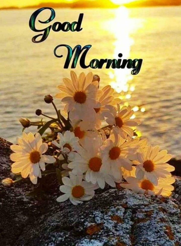 добра утра