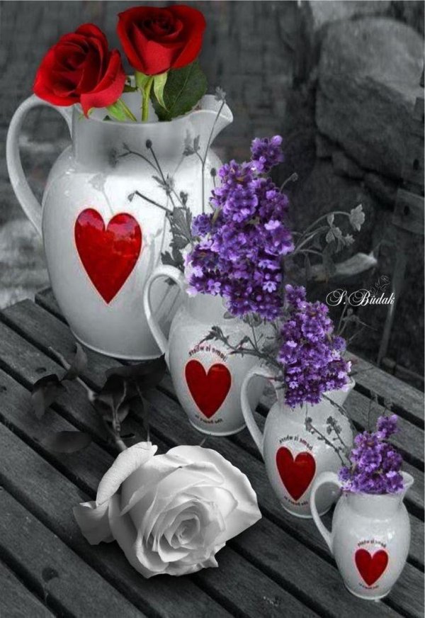 добрый вечер красивые цветы