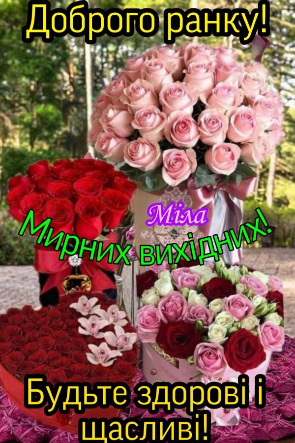 цветы новые