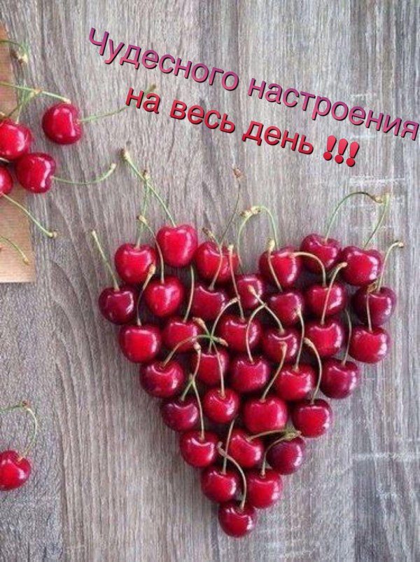 ягода вишня