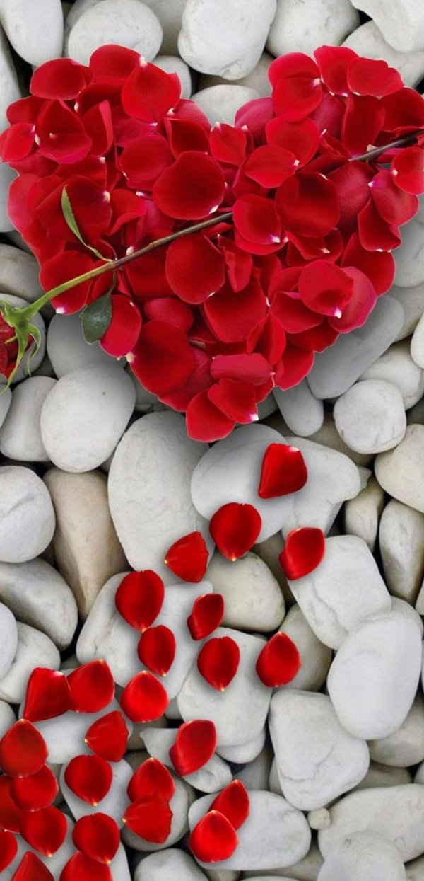 разные сердца