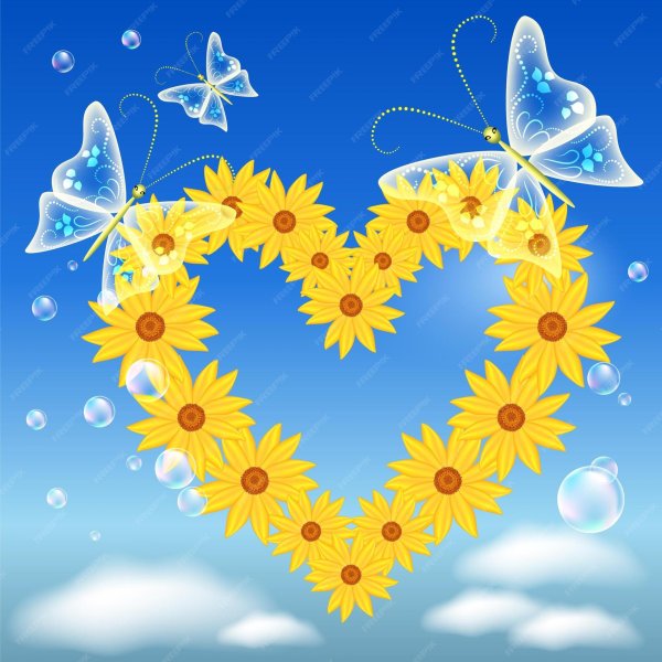 ромашки сердечком