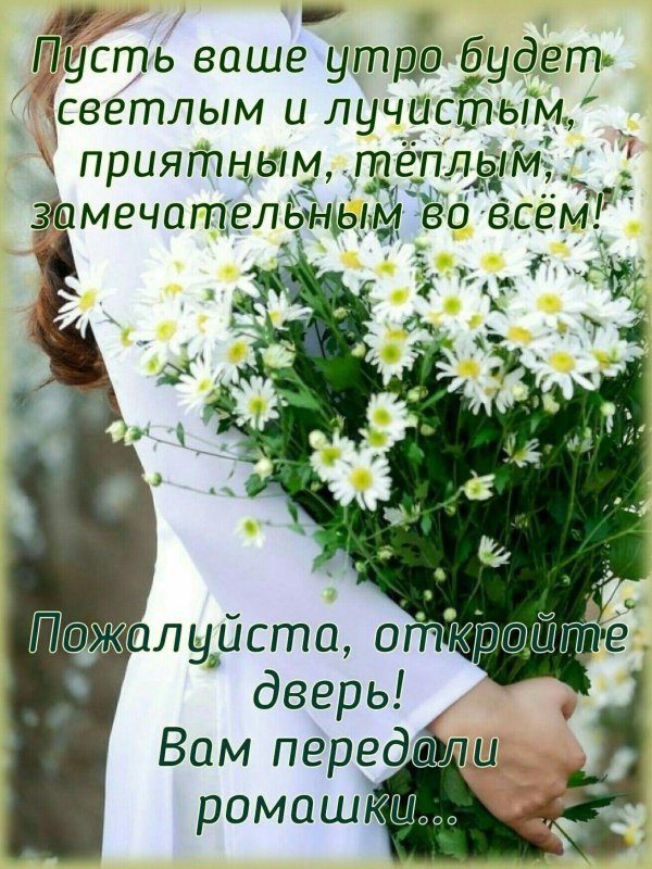 букет ромашек