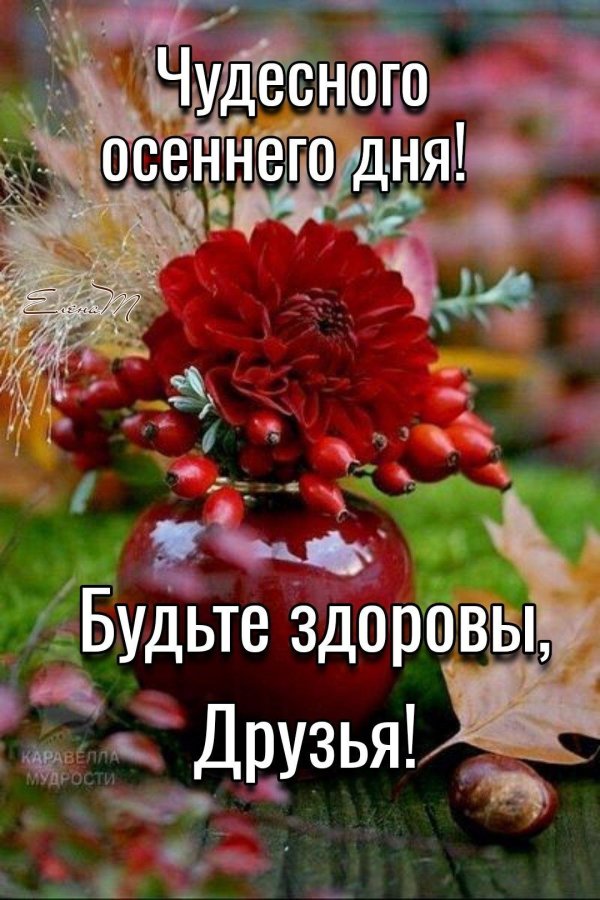 добрейшего осеннего утра