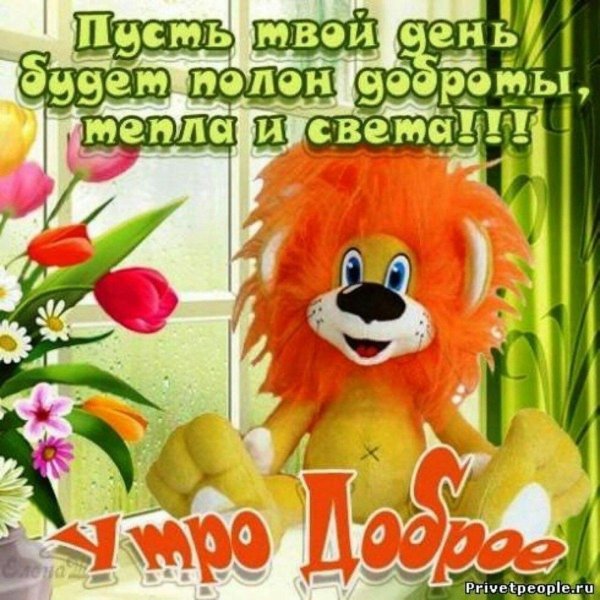 Хорошего дня сынок