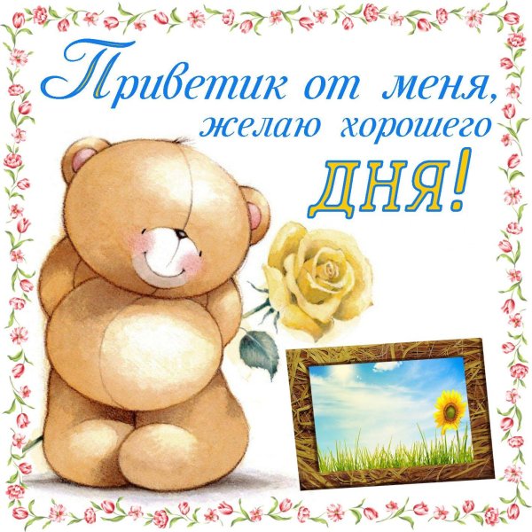 милые мишки