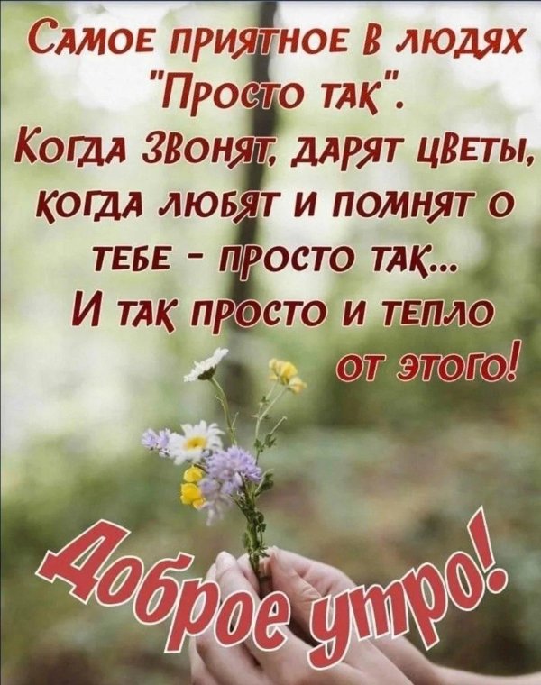 доброе утро со смыслом красиво