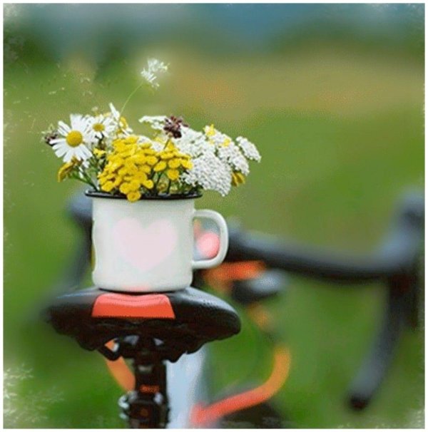 букет в велосипеде