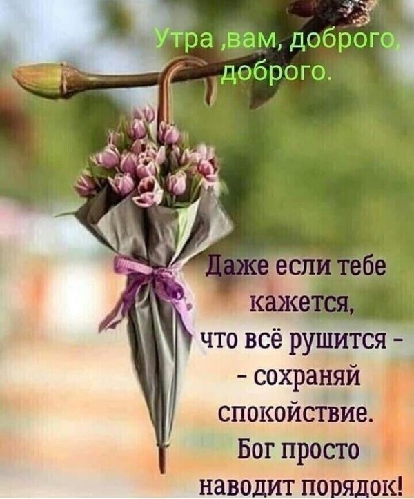 афоризмы о добром утре