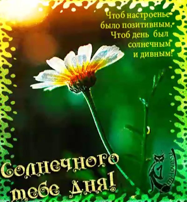 сронечерго дня и отличного настроения