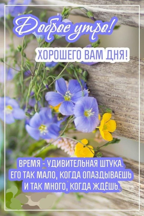доброго майского утра и хорошего дня