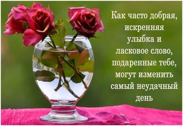 цветы в прозрачной вазе