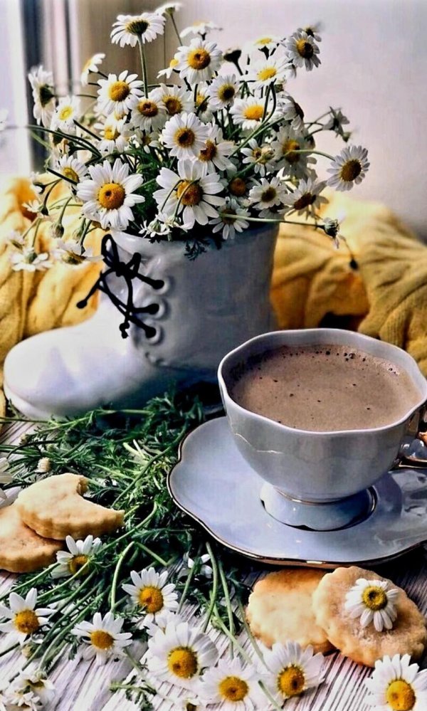чашка кофе и ромашки