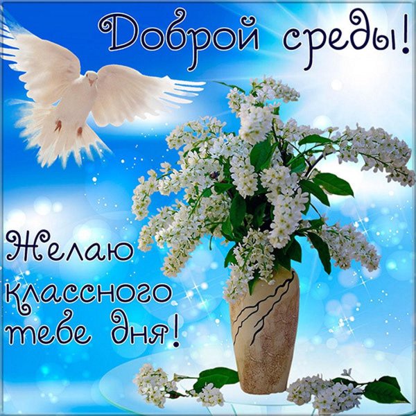 среда открытки красивые