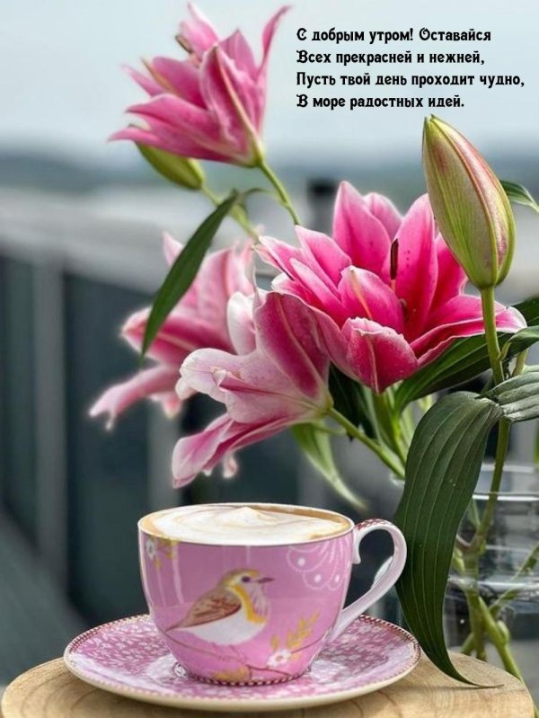 цветы утренние