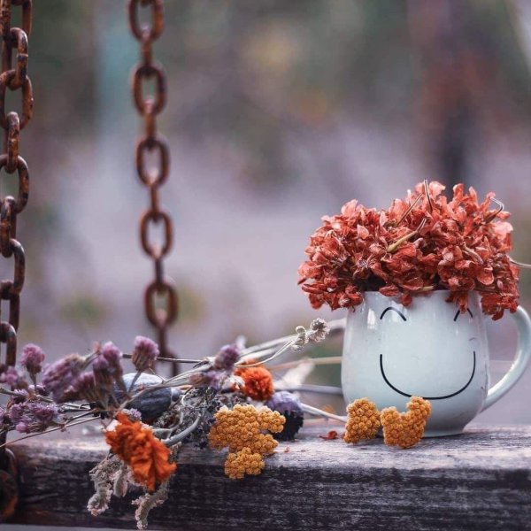 доброе утро осеннее философские