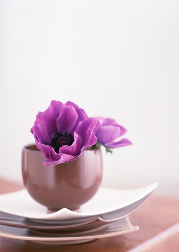 доброе утро в сиреневом цвете