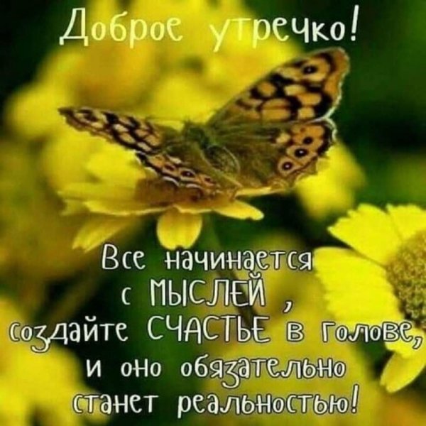 бабочка желтая