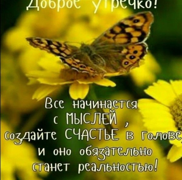 бабочка желтая