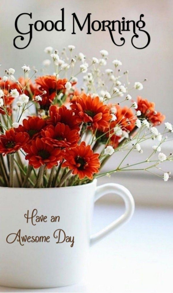 красивая цветок