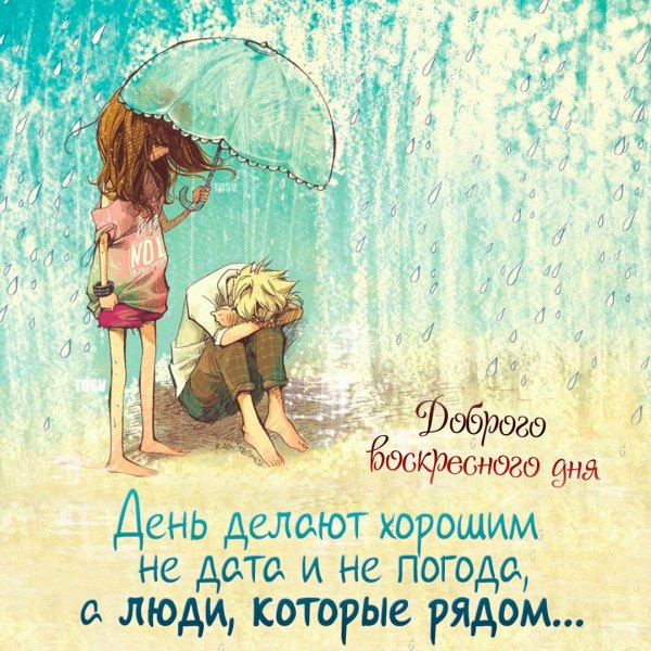 трогательные иллюстрации