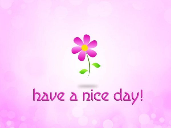 have nice day