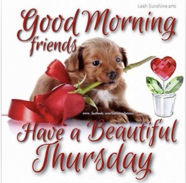 хорошего четверга и отличного