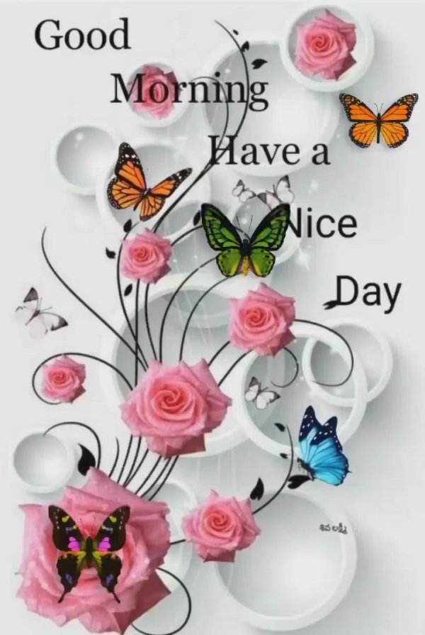have a nice day