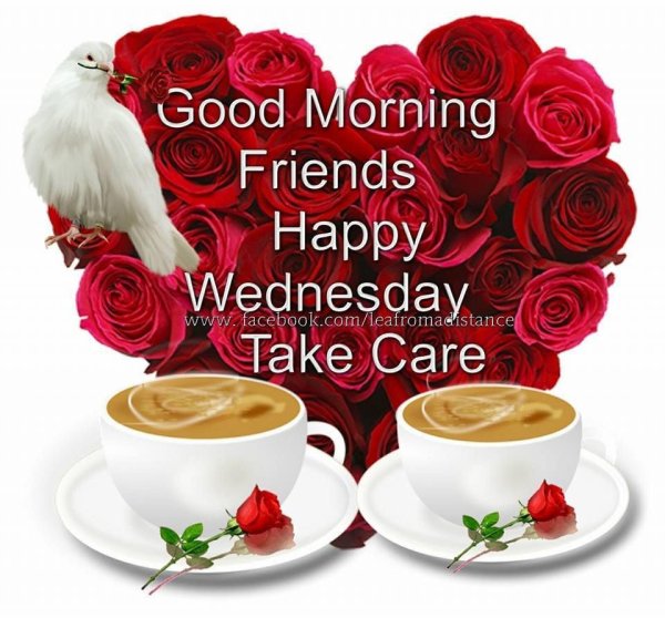 good morning wednesday