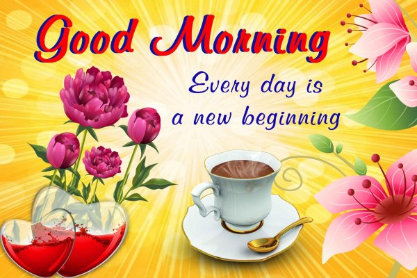 morning have a nice day