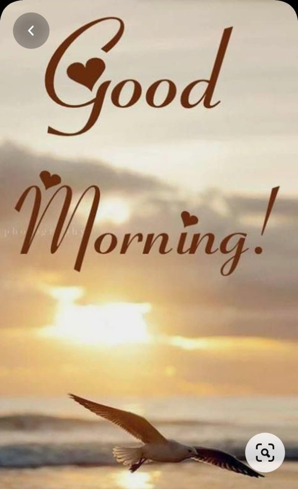 добра утра