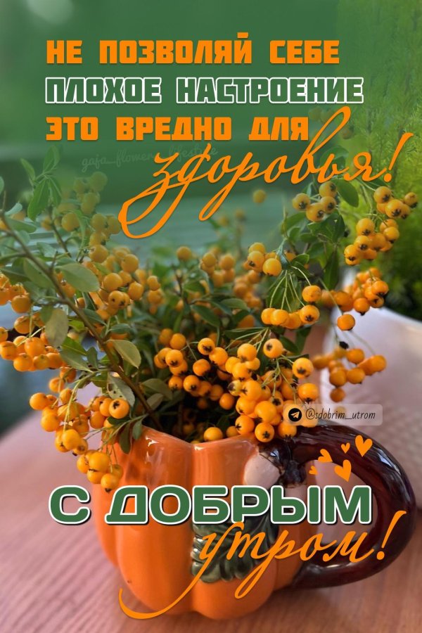 доброго утра сентябрь