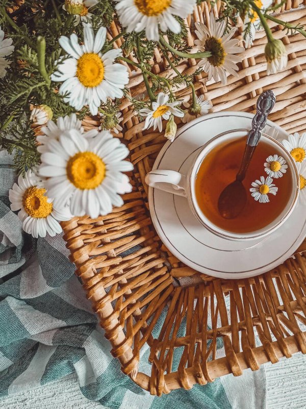 ромашковый чай