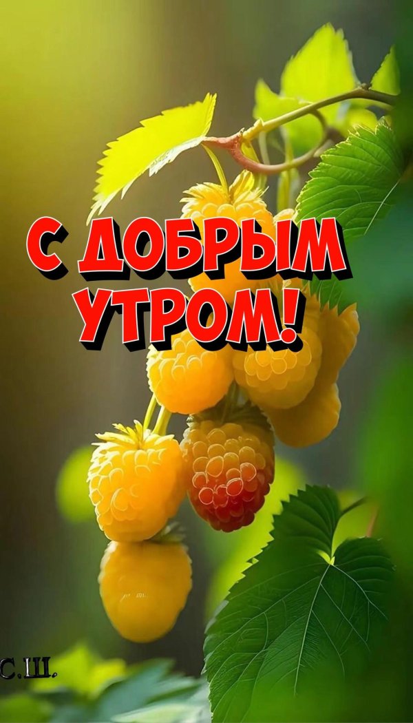 доброе августовское утречко