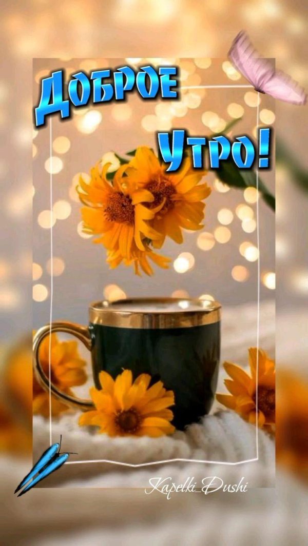 добра утра