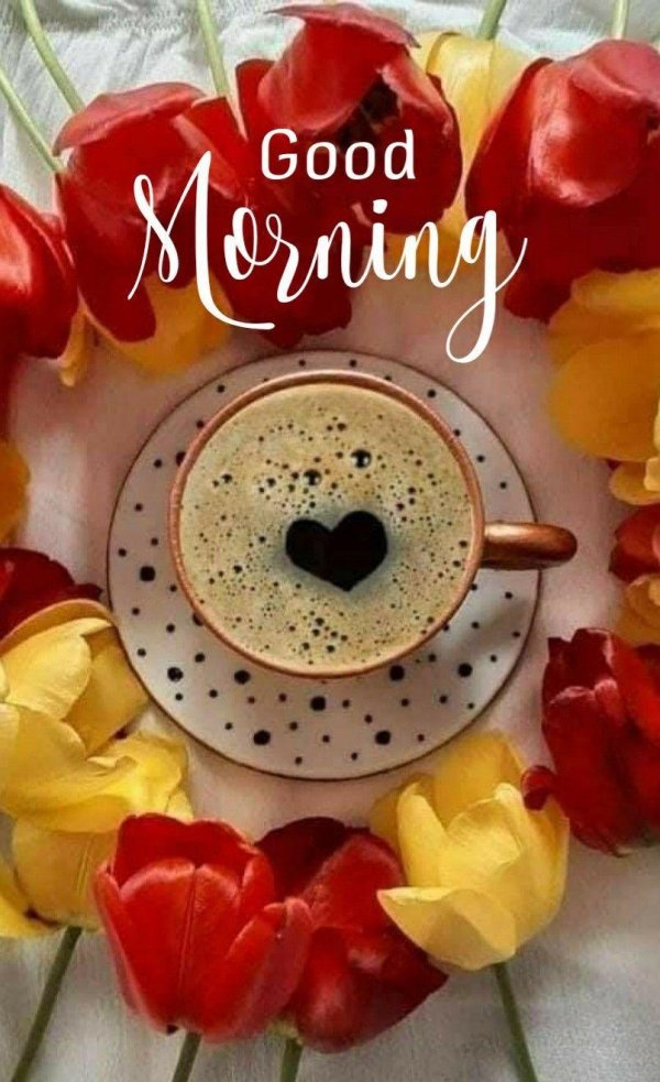 good morning good morning