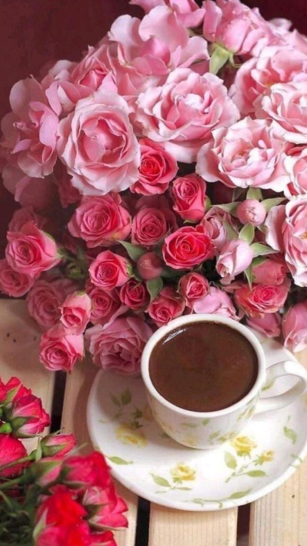 цветы утренние