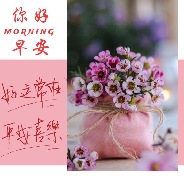 цветочная композиция