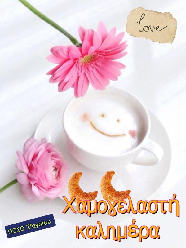 good morning morning