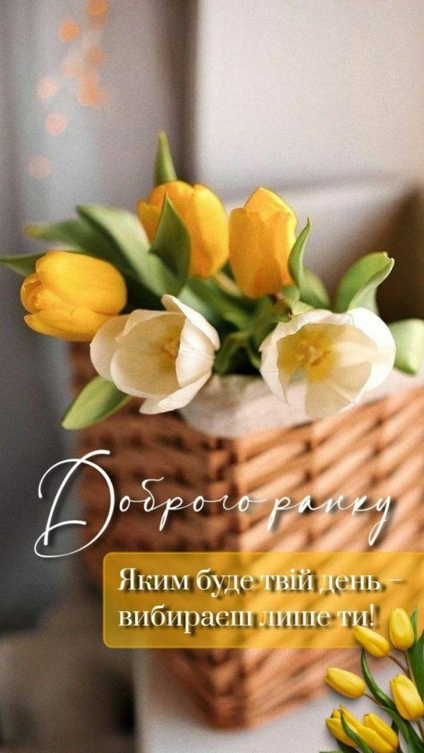 жëлтые тюльпаны