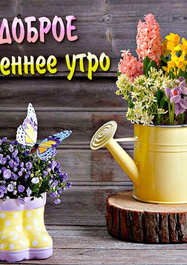 открытка с добрым утром весенние
