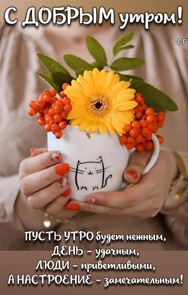 пусть утро