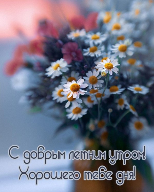 доброго утра летнего