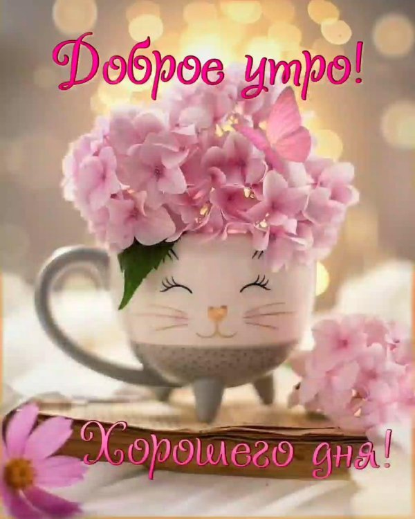 доброго всем утра