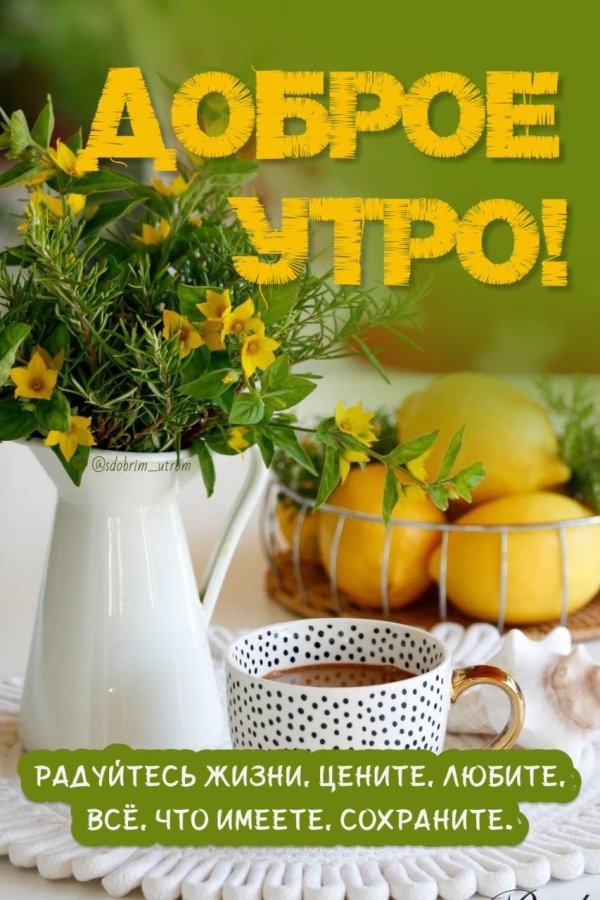 добра утра